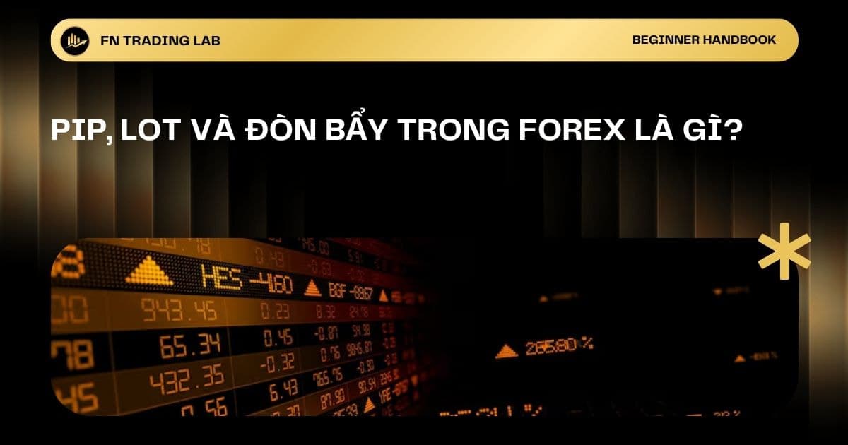 Pip, Lot và Đòn Bẩy Trong Forex Là Gì?
