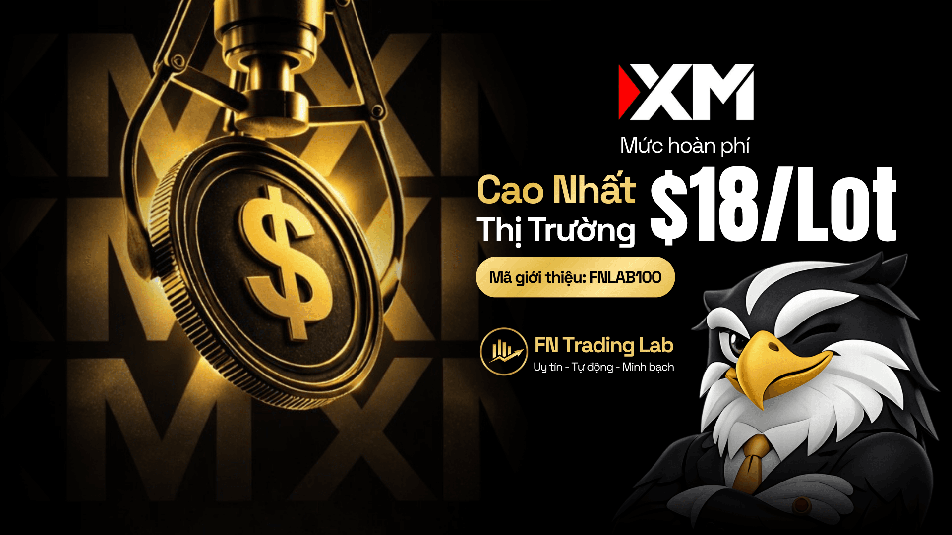 BACKCOM XM - Bonus $5000
