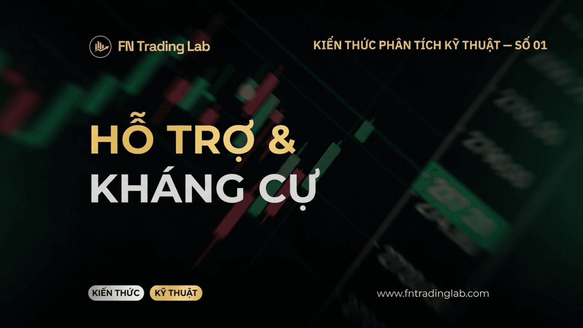 Hỗ Trợ và Kháng Cự Trong Forex Là Gì? Hướng Dẫn Đầy Đủ Cho Người Mới
