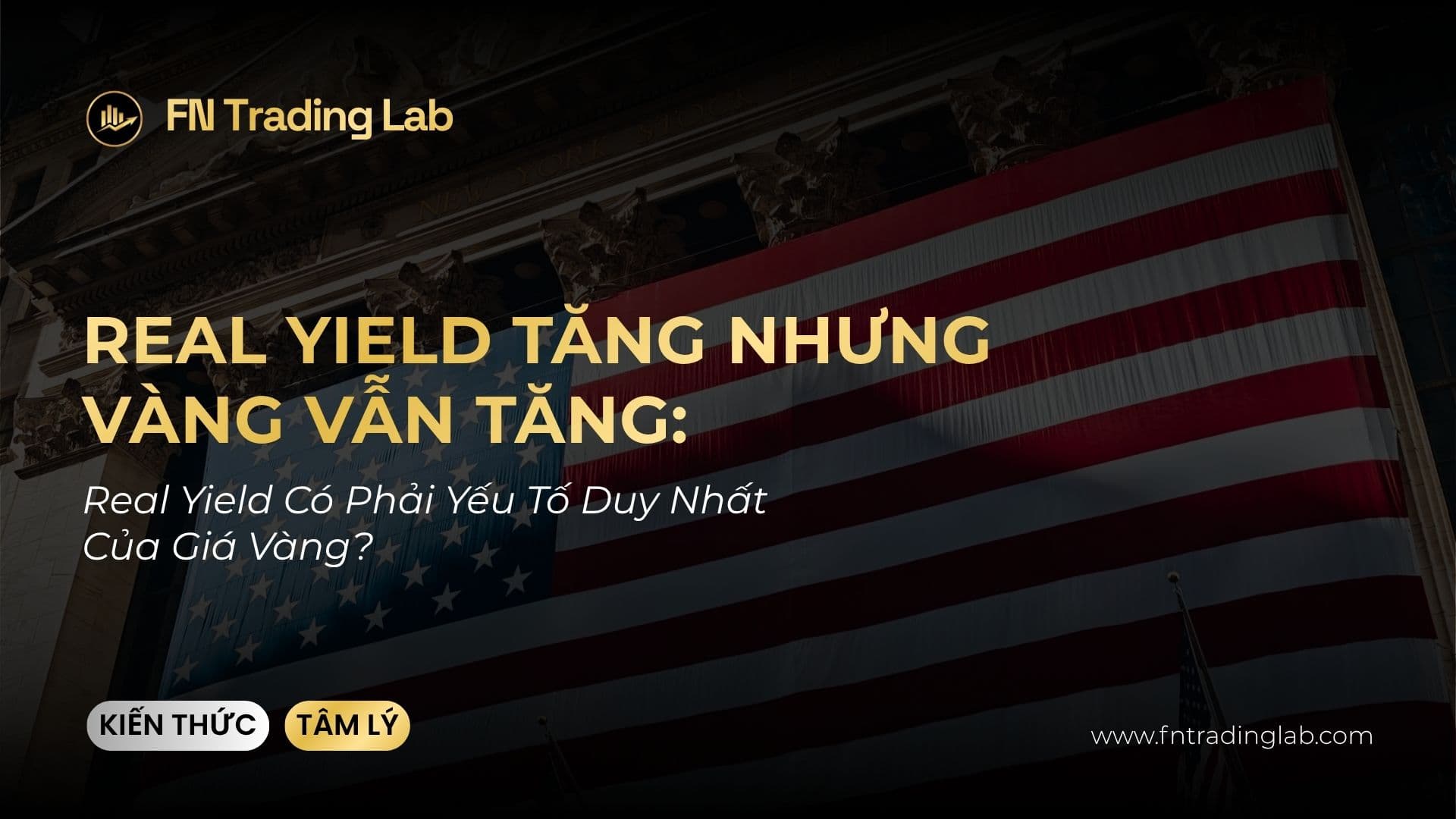 Real Yield Tăng Nhưng Vàng Vẫn Tăng: Real Yield Có Phải Yếu Tố Duy Nhất Của Giá Vàng?